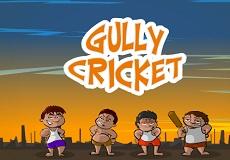 Gully Cricket Flash Game